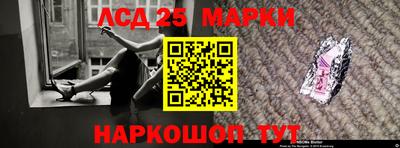 шишки Лесосибирск