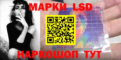 шишки Лесосибирск