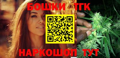 шишки Лесосибирск