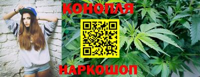 шишки Лесосибирск