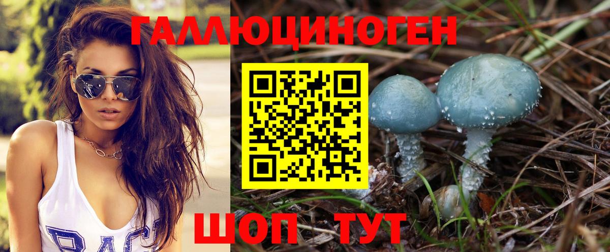 Галлюциногенные грибы GOLDEN TEACHER Елабуга